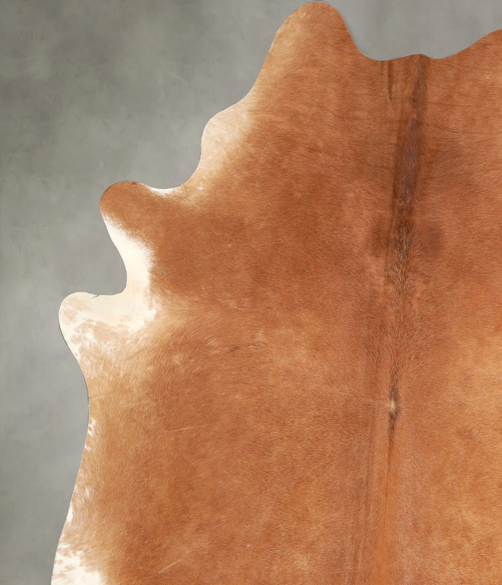 Solid Brown Cowhide Rug #A49073
