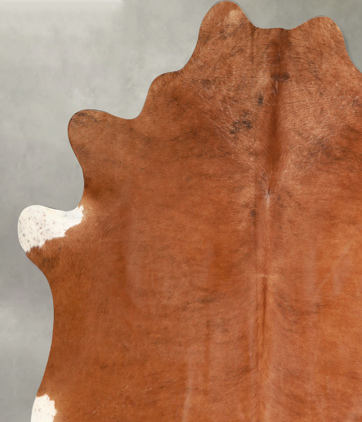 Solid Brown XX-Large Brazilian Cowhide Rug 7'10"H x 6'8"W #A49077 by Hudson Hides