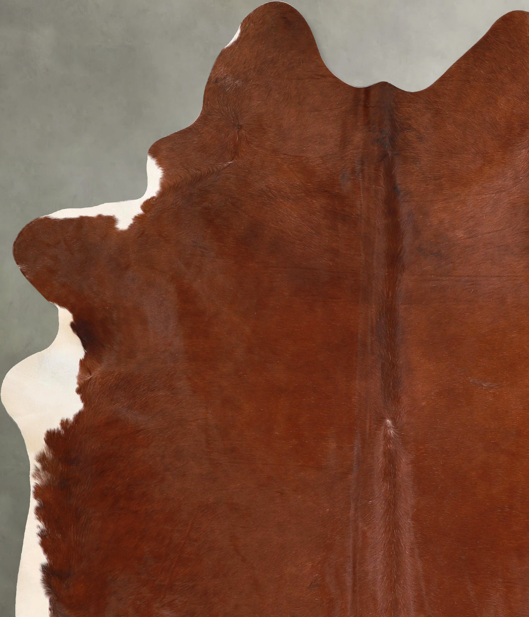 Solid Brown XX-Large Brazilian Cowhide Rug 8'1"H x 6'5"W #A49102 by Hu