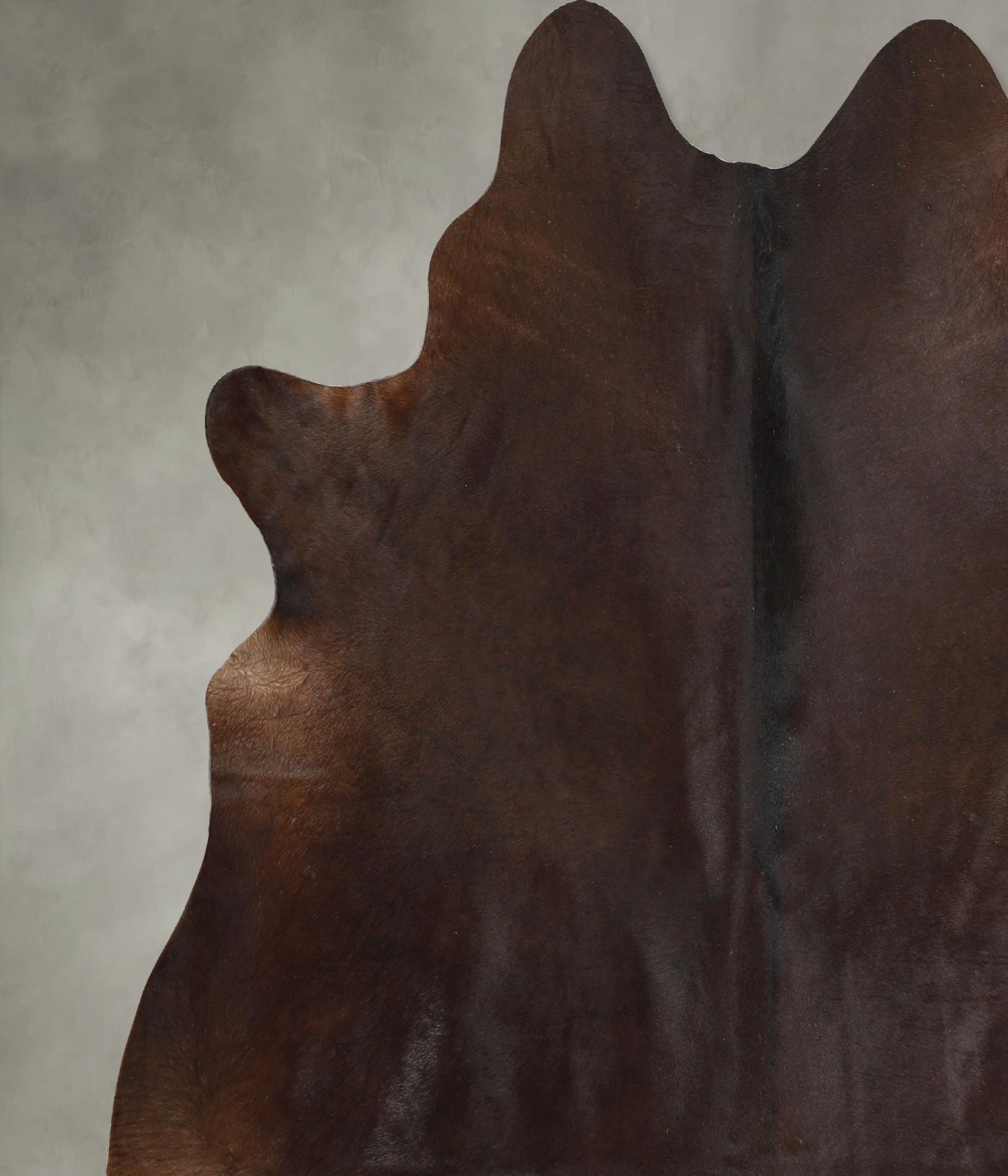 Chocolate Cowhide Rug #A49125