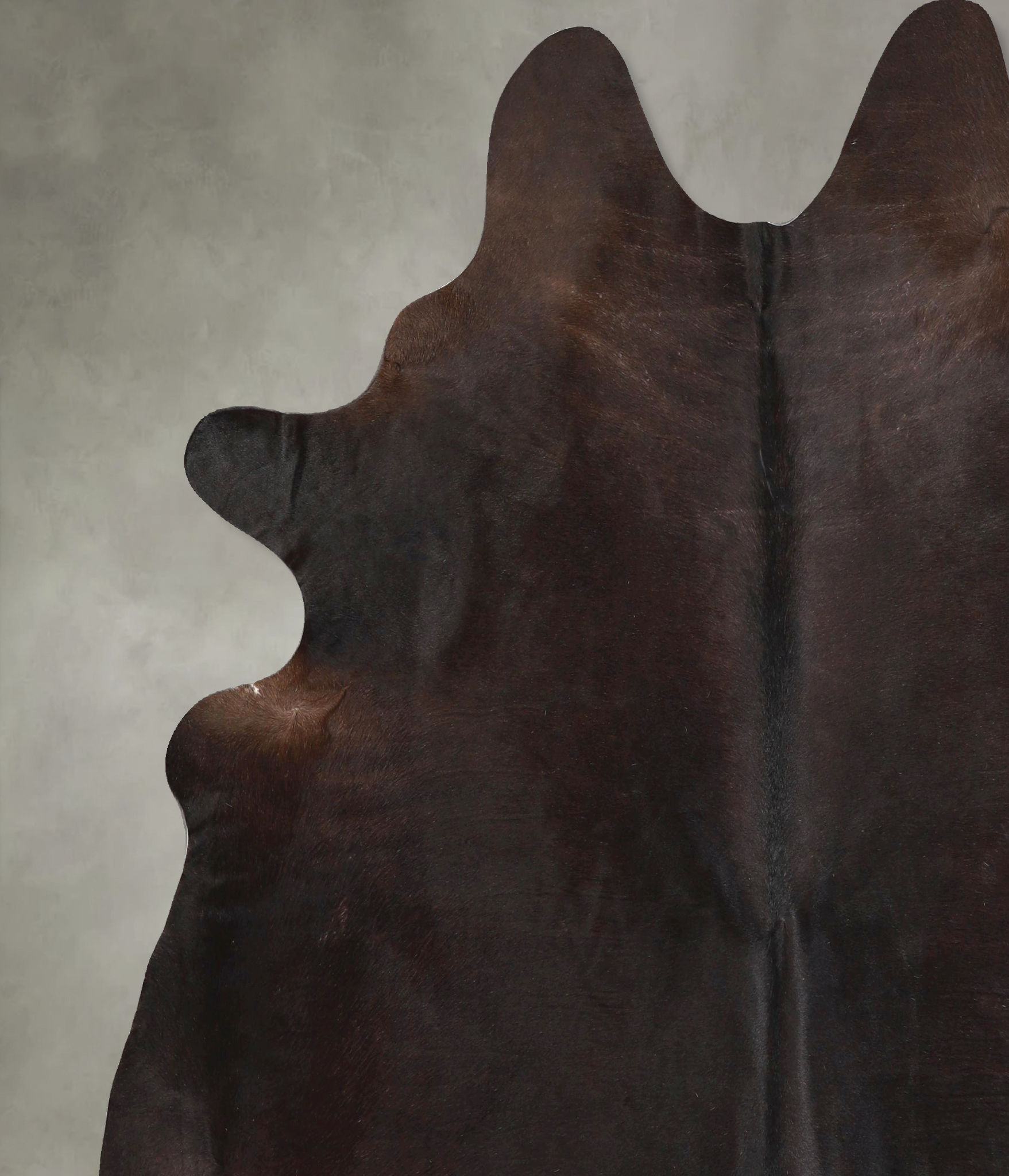 Chocolate Cowhide Rug #A49126