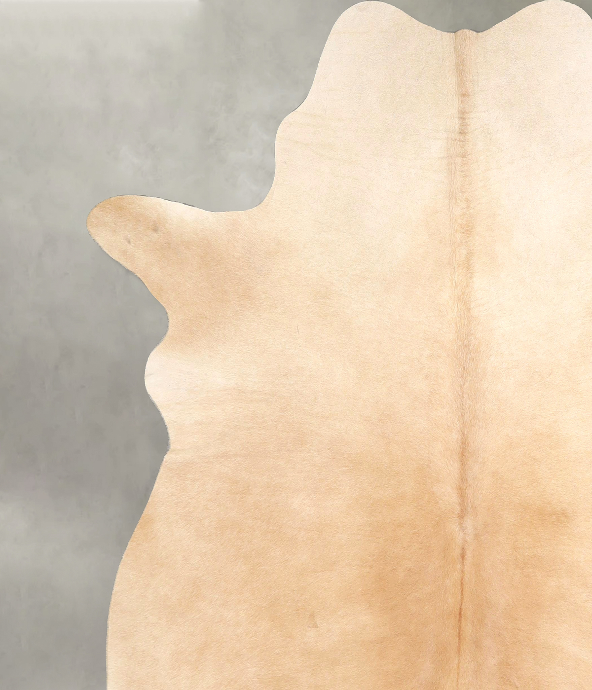 Beige X-Large Brazilian Cowhide Rug 7'1"H x 6'6"W #A49139 by Hudson Hides