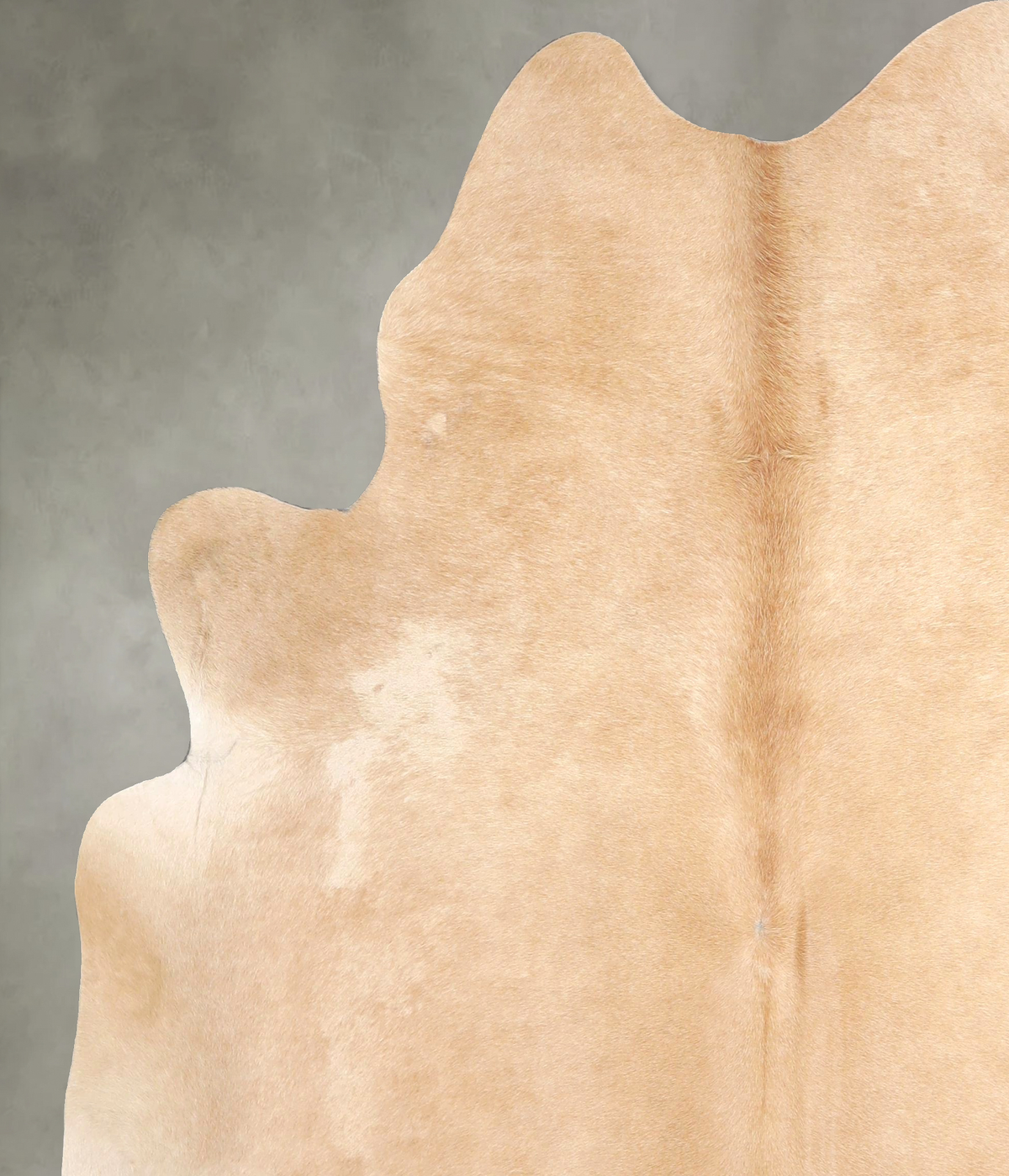 Palomino Cowhide Rug #A49149