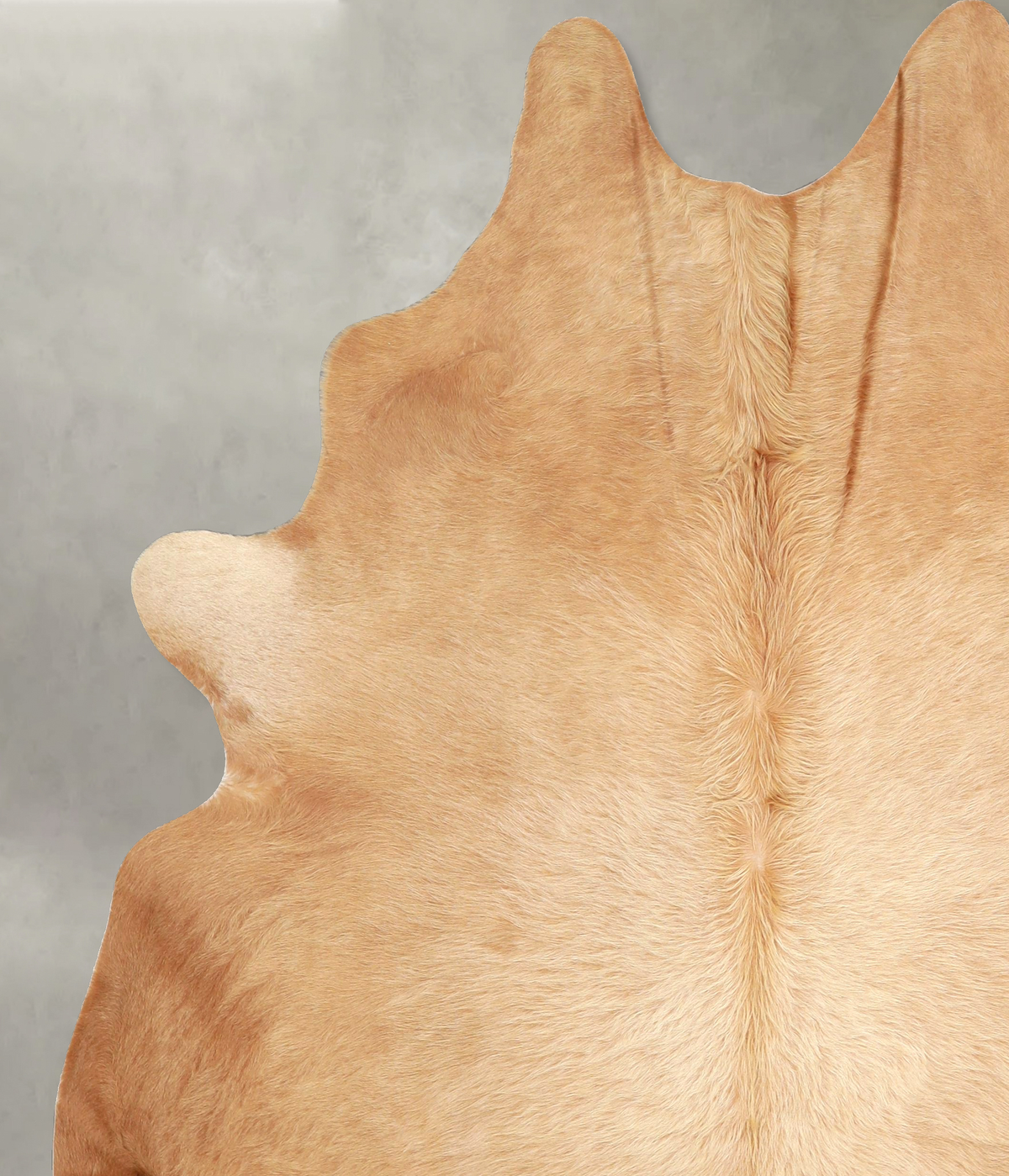 Beige XX-Large Brazilian Cowhide Rug 7'8"H x 6'7"W #A49155 by Hudson Hides