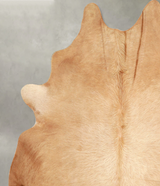 Beige XX-Large Brazilian Cowhide Rug 7'8"H x 6'7"W #A49155 by Hudson Hides