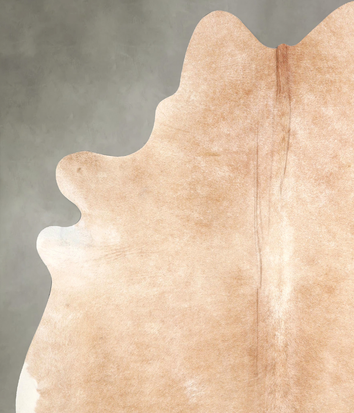 Beige X-Large Brazilian Cowhide Rug 7'5"H x 6'2"W #A49164 by Hudson Hides