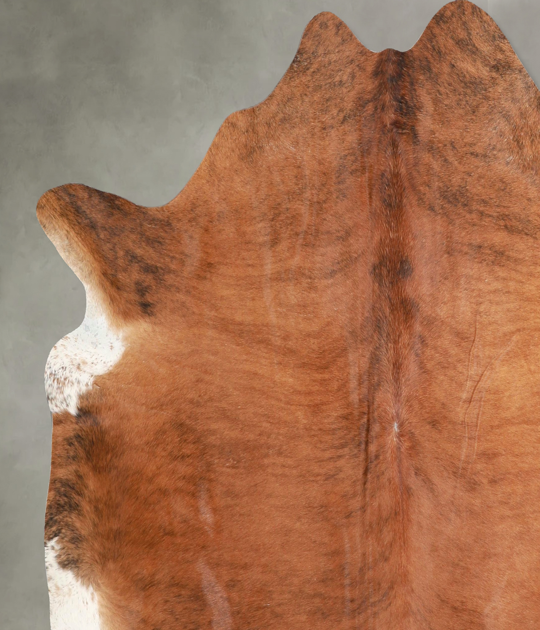 Medium Brindle Cowhide Rug #A49166