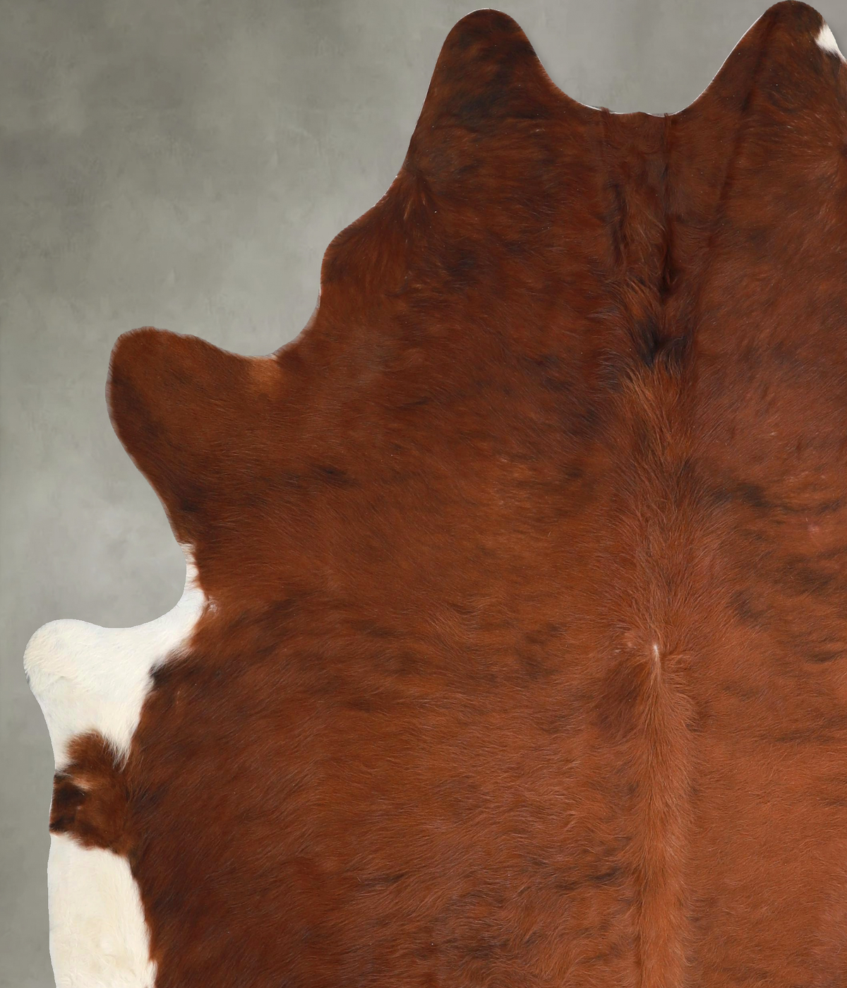 Medium Brindle X-Large Brazilian Cowhide Rug 7'4"H x 6'7"W #A49169 by Hudson Hides