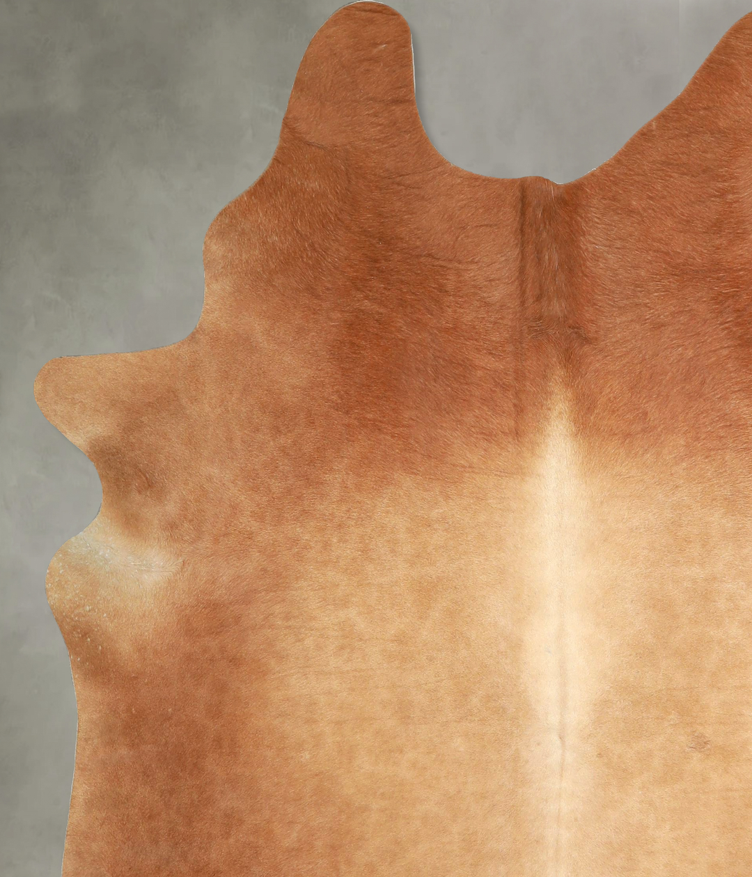 Solid Brown X-Large Brazilian Cowhide Rug 7'1"H x 5'11"W #A49182 by Hu