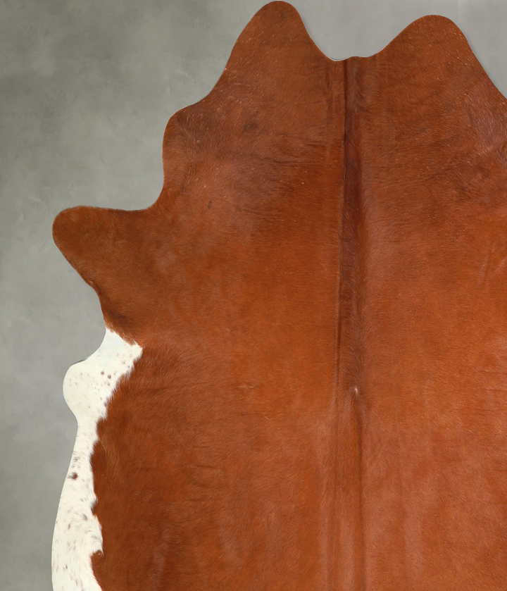 Solid Brown XX-Large Brazilian Cowhide Rug 7'10"H x 7'2"W #A49184 by Hudson Hides