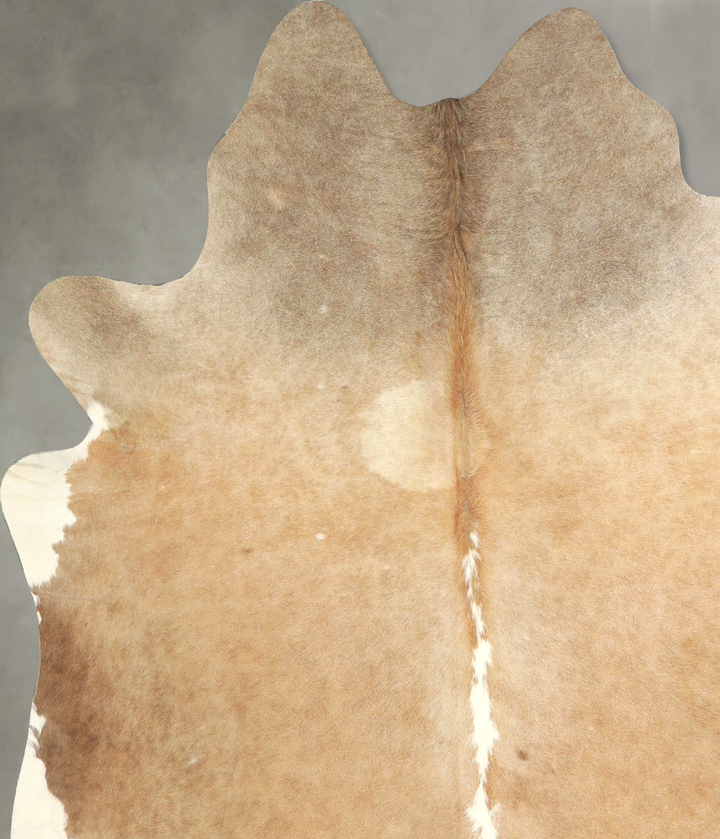 Light Caramel XX-Large Brazilian Cowhide Rug 7'6"H x 6'8"W #A49187 by Hudson Hides