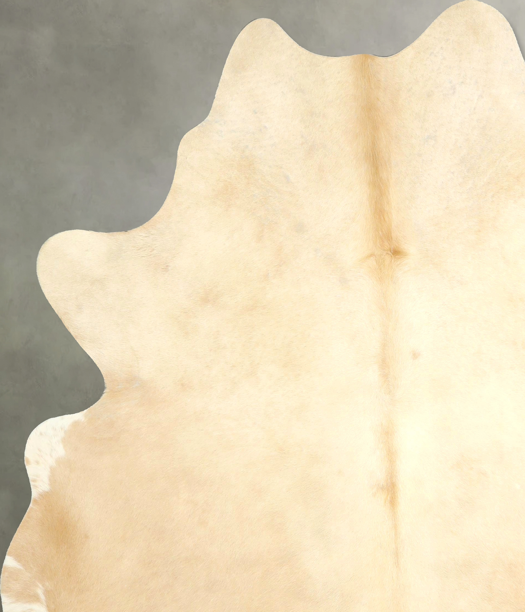 Palomino X-Large Brazilian Cowhide Rug 7'3"H x 5'11"W #A49188 by Hudso