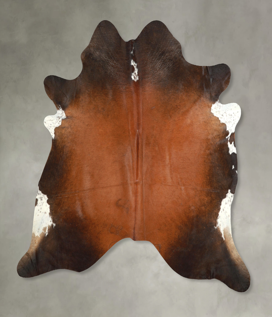 Warm Caramel X-Large Brazilian Cowhide Rug 6'11"H x 6'7"W #A49193 by Hudson Hides