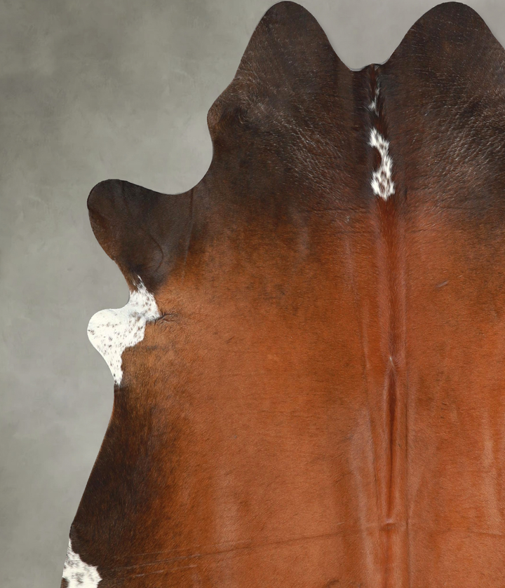 Warm Caramel X-Large Brazilian Cowhide Rug 6'11"H x 6'7"W #A49193 by Hudson Hides