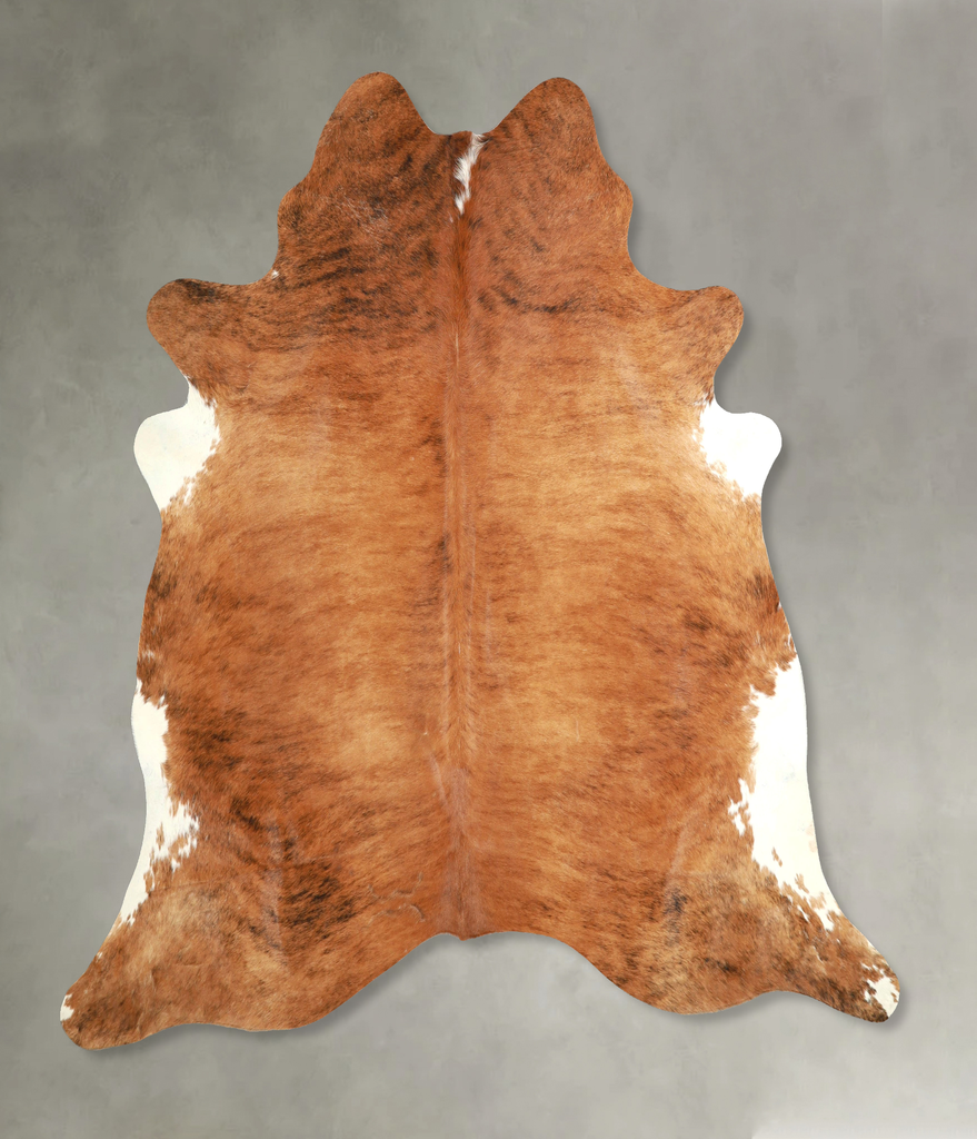 Medium Brindle X-Large Brazilian Cowhide Rug 7'0"H x 7'1"W #A49196 by Hudson Hides
