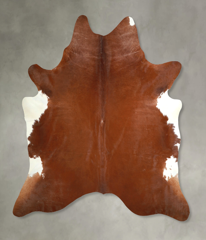 Solid Brown X-Large Brazilian Cowhide Rug 7'5"H x 6'8"W #A49214 by Hudson Hides