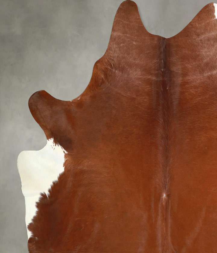 Solid Brown X-Large Brazilian Cowhide Rug 7'5"H x 6'8"W #A49214 by Hudson Hides