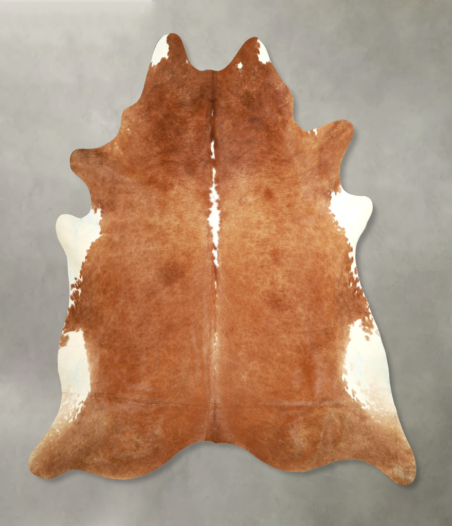 Brown and White Regular XX-Large Brazilian Cowhide Rug 8'0"H x 7'9"W #A49220 by Hudson Hides