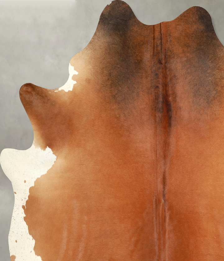 Solid Brown XX-Large Brazilian Cowhide Rug 7'9"H x 6'8"W #A49221 by Hudson Hides