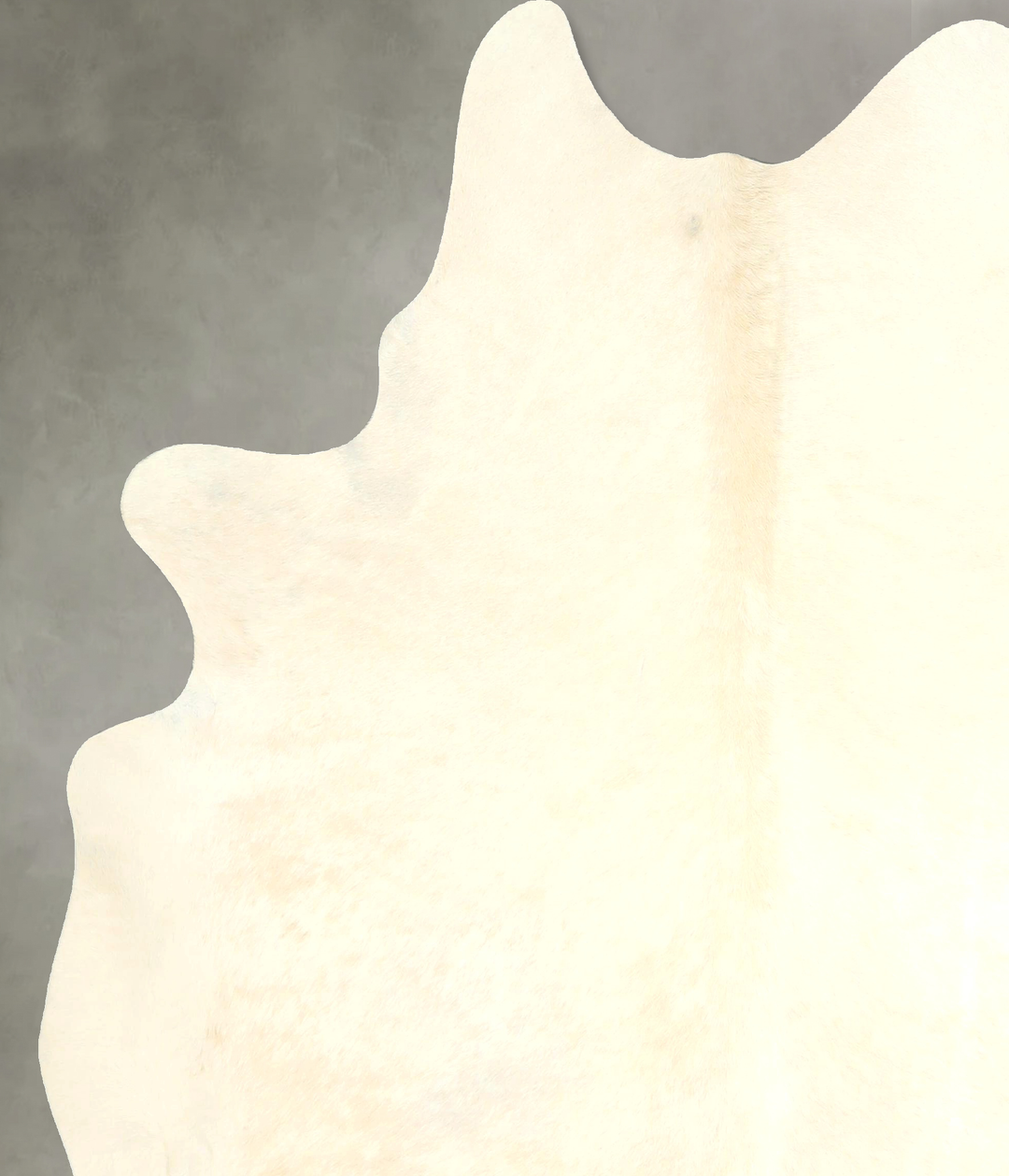 Ivory with Beige X-Large Brazilian Cowhide Rug 7'0"H x 6'0"W #A49229 b