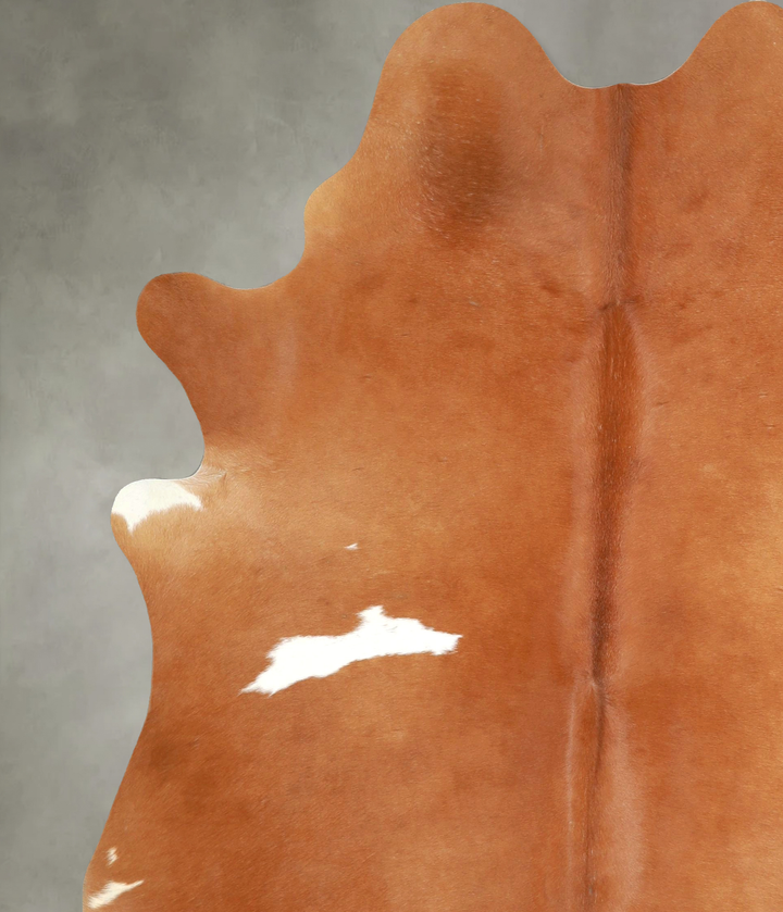 Solid Brown X-Large Brazilian Cowhide Rug 7'10"H x 5'11"W #A49230 by Hudson Hides