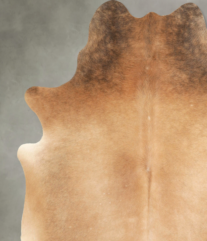 Warm Caramel X-Large Brazilian Cowhide Rug 7'3"H x 6'8"W #A49231 by Hudson Hides