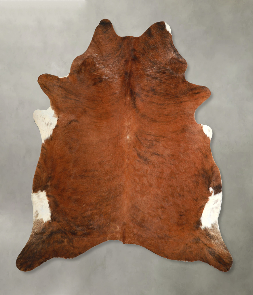 Medium Brindle XX-Large Brazilian Cowhide Rug 7'11"H x 7'1"W #A49266 by Hudson Hides