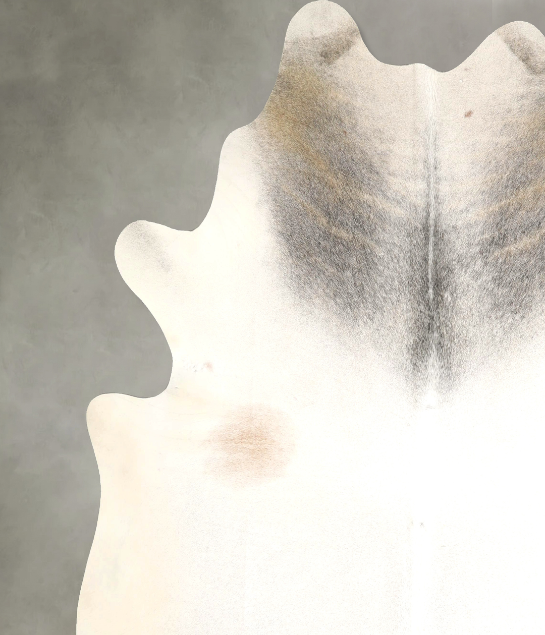 Grey with Beige XX-Large Brazilian Cowhide Rug 7'8"H x 7'0"W #A49289 b