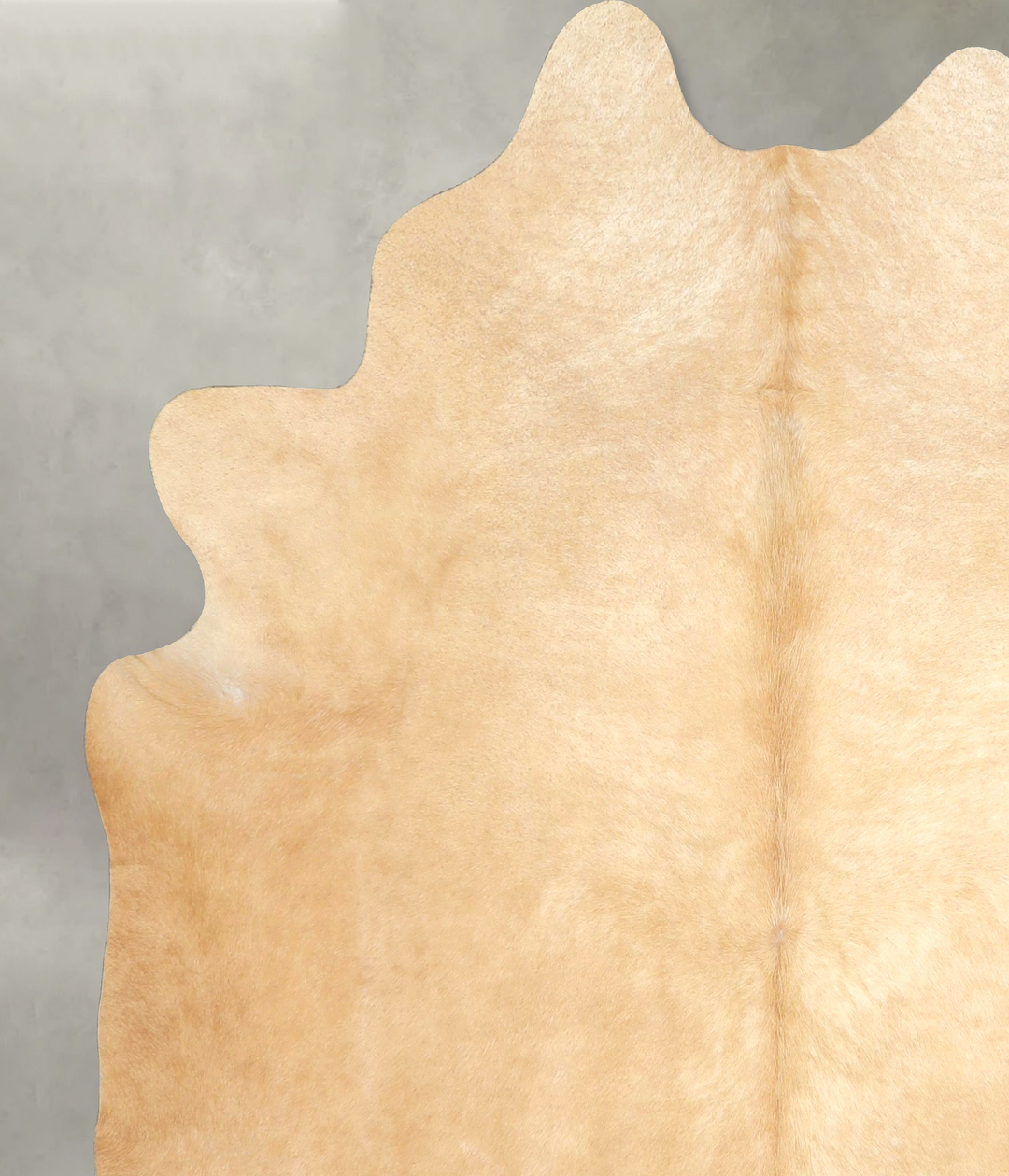 Palomino X-Large Brazilian Cowhide Rug 7'3"H x 6'9"W #A49290 by Hudson