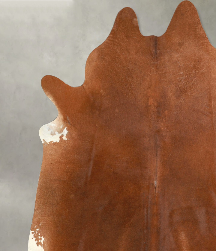Solid Brown XX-Large Brazilian Cowhide Rug 7'6"H x 7'2"W #A49292 by Hudson Hides