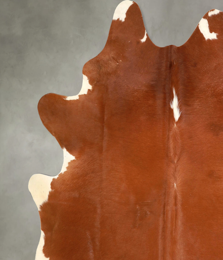 Solid Brown X-Large Brazilian Cowhide Rug 7'4"H x 6'6"W #A49295 by Hudson Hides