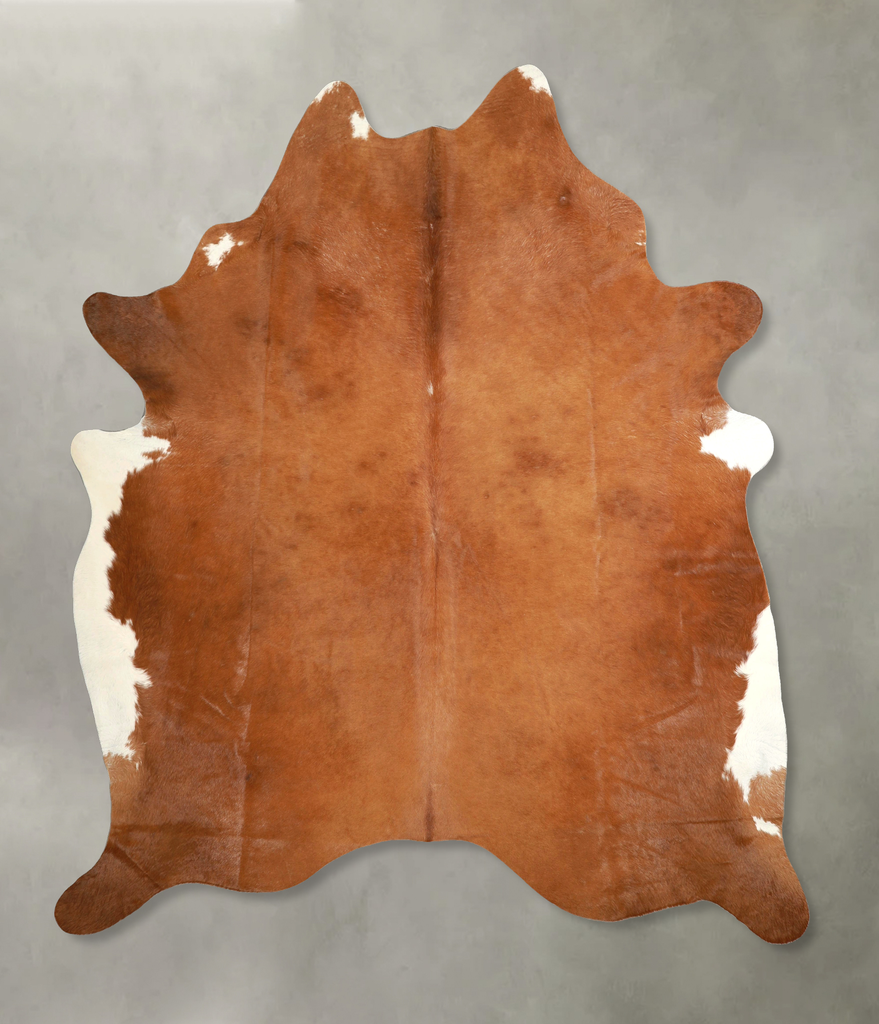 Solid Brown XX-Large Brazilian Cowhide Rug 8'3"H x 7'1"W #A49296 by Hudson Hides