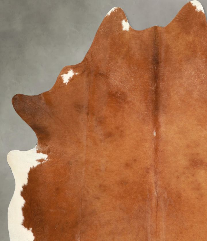 Solid Brown XX-Large Brazilian Cowhide Rug 8'3"H x 7'1"W #A49296 by Hudson Hides