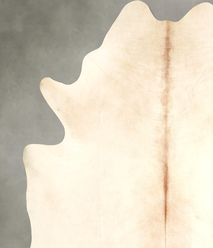 Ivory with Beige XX-Large Brazilian Cowhide Rug 7'8"H x 6'11"W #A49298 by Hudson Hides