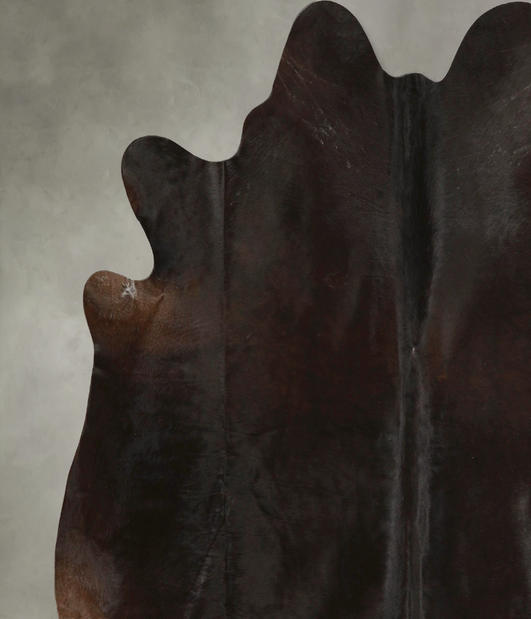 Chocolate XX-Large Brazilian Cowhide Rug 7'3"H x 6'11"W #A49299 by Hud