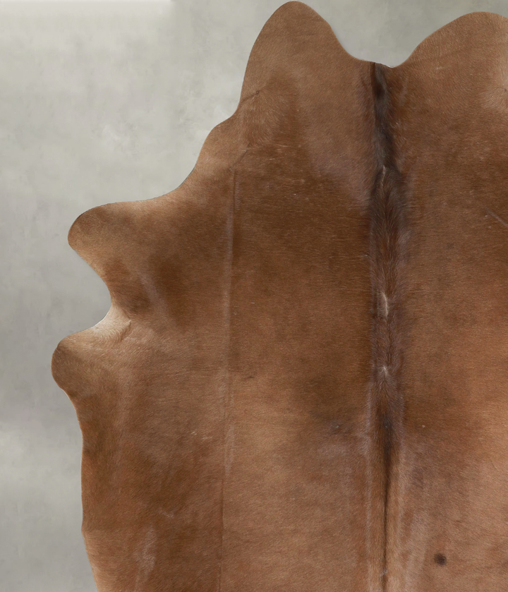 Chocolate XX-Large Brazilian Cowhide Rug 8'2"H x 6'8"W #A49303 by Hudson Hides