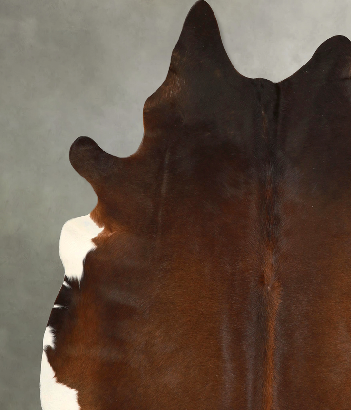 Warm Caramel XX-Large Brazilian Cowhide Rug 7'6"H x 7'2"W #A49304 by Hudson Hides