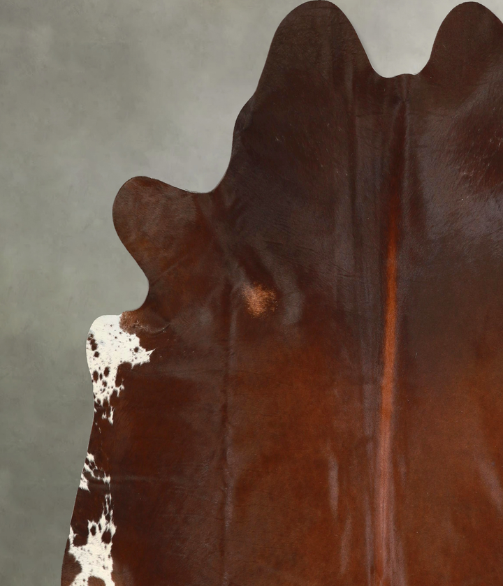 Warm Caramel X-Large Brazilian Cowhide Rug 7'0"H x 7'2"W #A49305 by Hudson Hides