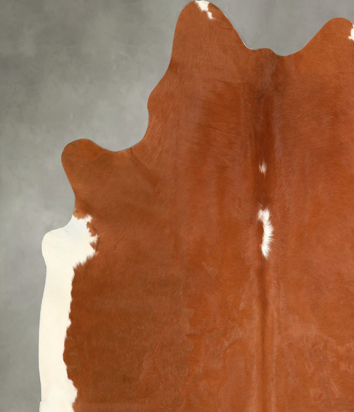 Brown and White Regular X-Large Brazilian Cowhide Rug 7'0"H x 6'5"W #A49306 by Hudson Hides