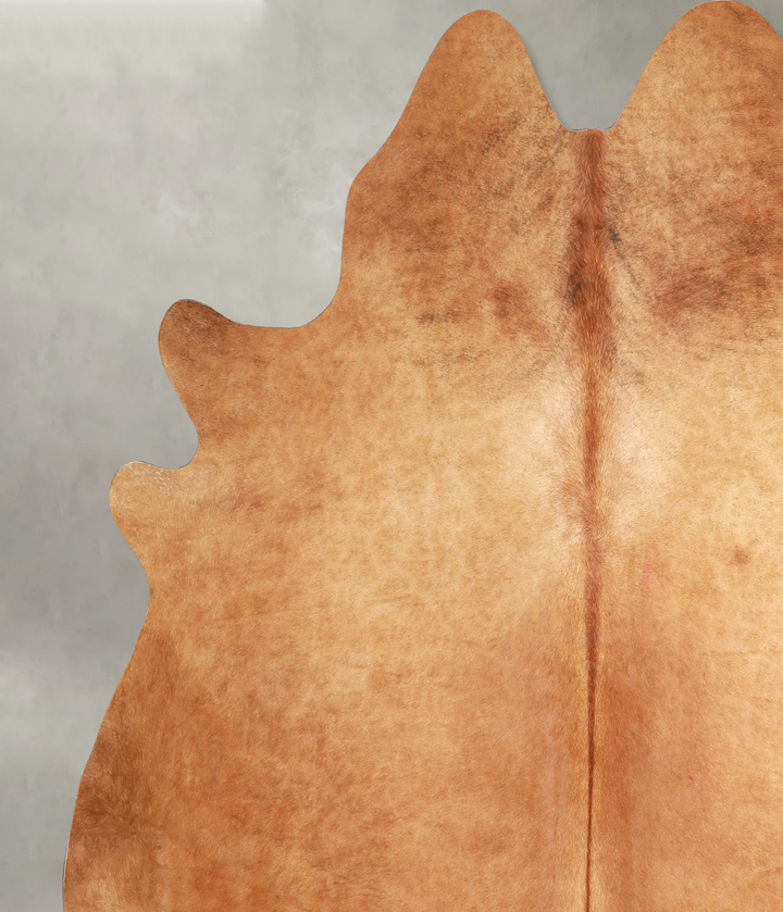 Solid Brown XX-Large Brazilian Cowhide Rug 7'4"H x 7'6"W #A49311 by Hudson Hides