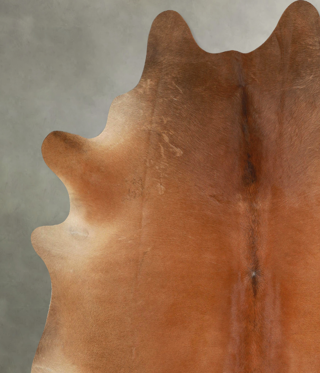 Warm Caramel XX-Large Brazilian Cowhide Rug 7'7"H x 7'0"W #A49313 by H