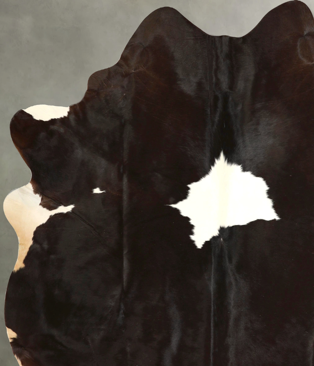 Chocolate and White X-Large Brazilian Cowhide Rug 7'8"H x 6'4"W #A4931