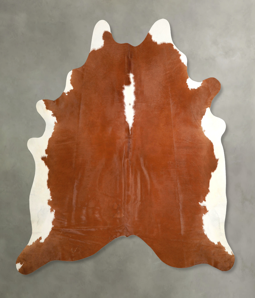 Brown and White Regular XX-Large Brazilian Cowhide Rug 7'10"H x 7'4"W #A49315 by Hudson Hides