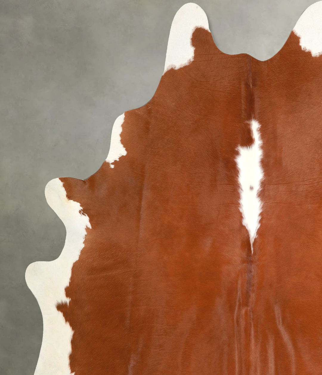 Brown and White Regular XX-Large Brazilian Cowhide Rug 7'10"H x 7'4"W 