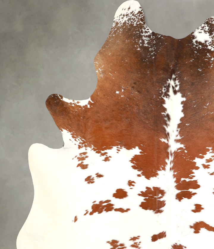 Brown and White XX-Large Brazilian Cowhide Rug 7'10"H x 6'6"W #A49319 by Hudson Hides