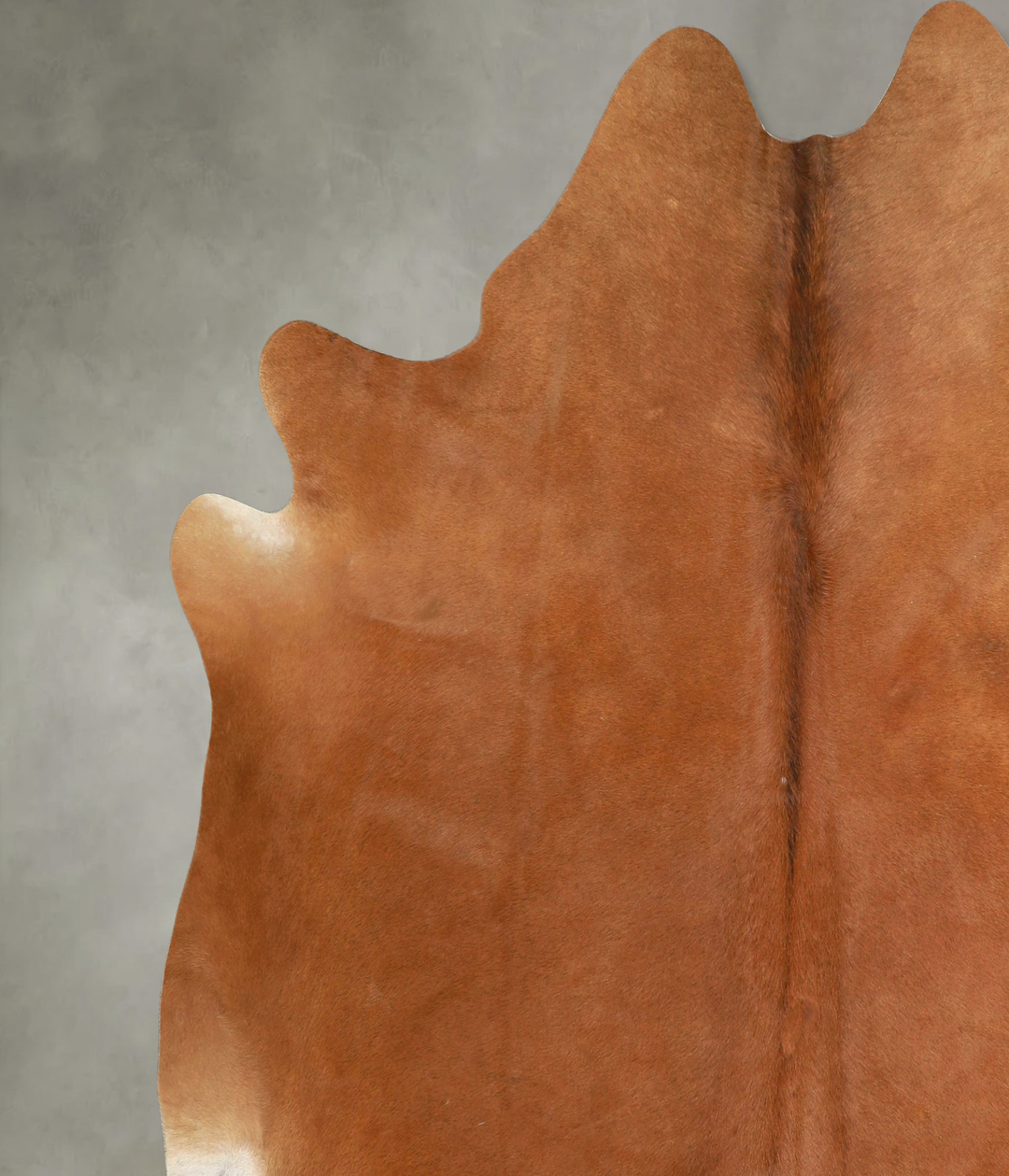 Solid Brown XX-Large Brazilian Cowhide Rug 7'8"H x 7'7"W #A49321 by Hu