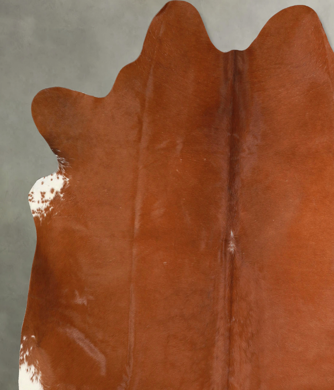 Solid Brown XX-Large Brazilian Cowhide Rug 7'7"H x 6'10"W #A49323 by H