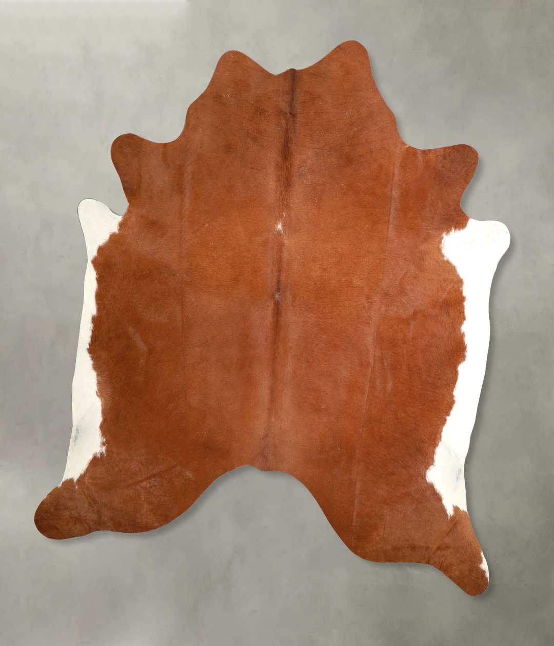 Brown and White Regular XX-Large Brazilian Cowhide Rug 7'6"H x 7'5"W #