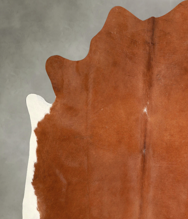 Brown and White Regular XX-Large Brazilian Cowhide Rug 7'6"H x 7'5"W #A49325 by Hudson Hides