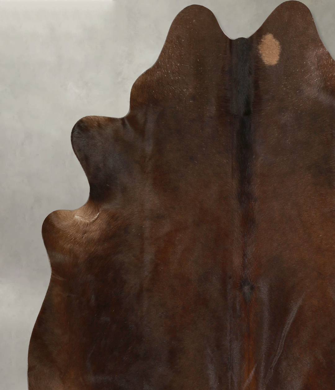 Chocolate X-Large Brazilian Cowhide Rug 6'11"H x 6'9"W #A49335 by Huds